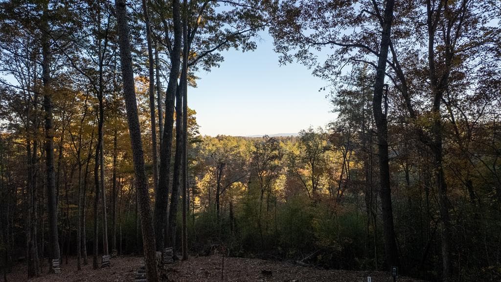 155 Rhondas Way, Ellijay GA 30540 - Primary photo
