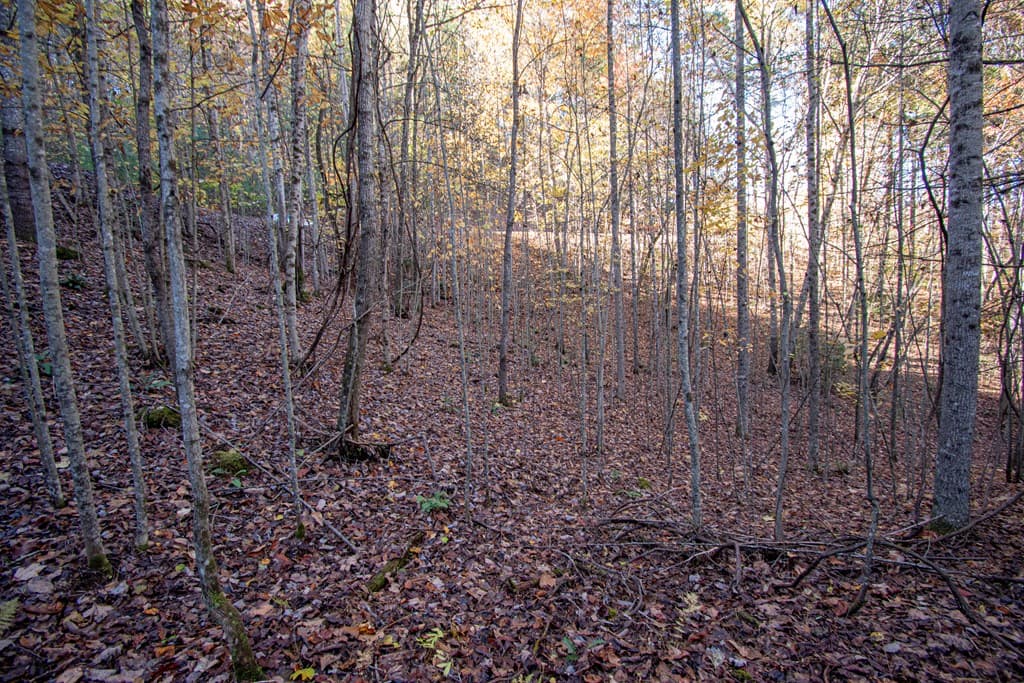 Lot 66 Choctaw Ridge Trail, Murphy NC 28906 - Photo