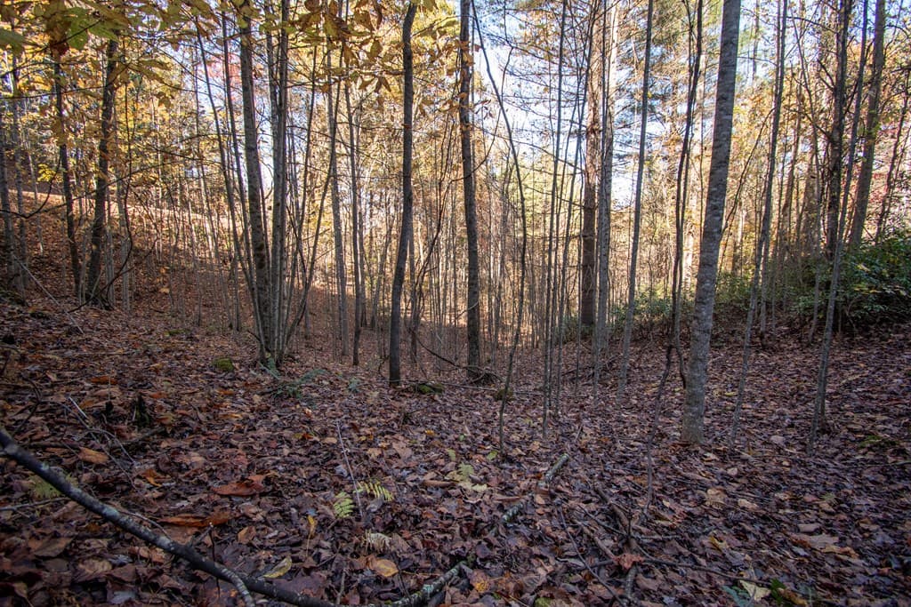 Lot 66 Choctaw Ridge Trail, Murphy NC 28906 - Photo