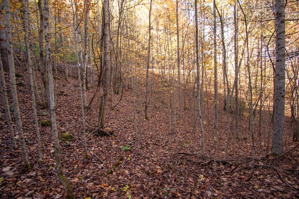 Lot 66 Choctaw Ridge Trail, Murphy NC 28906 - Photo