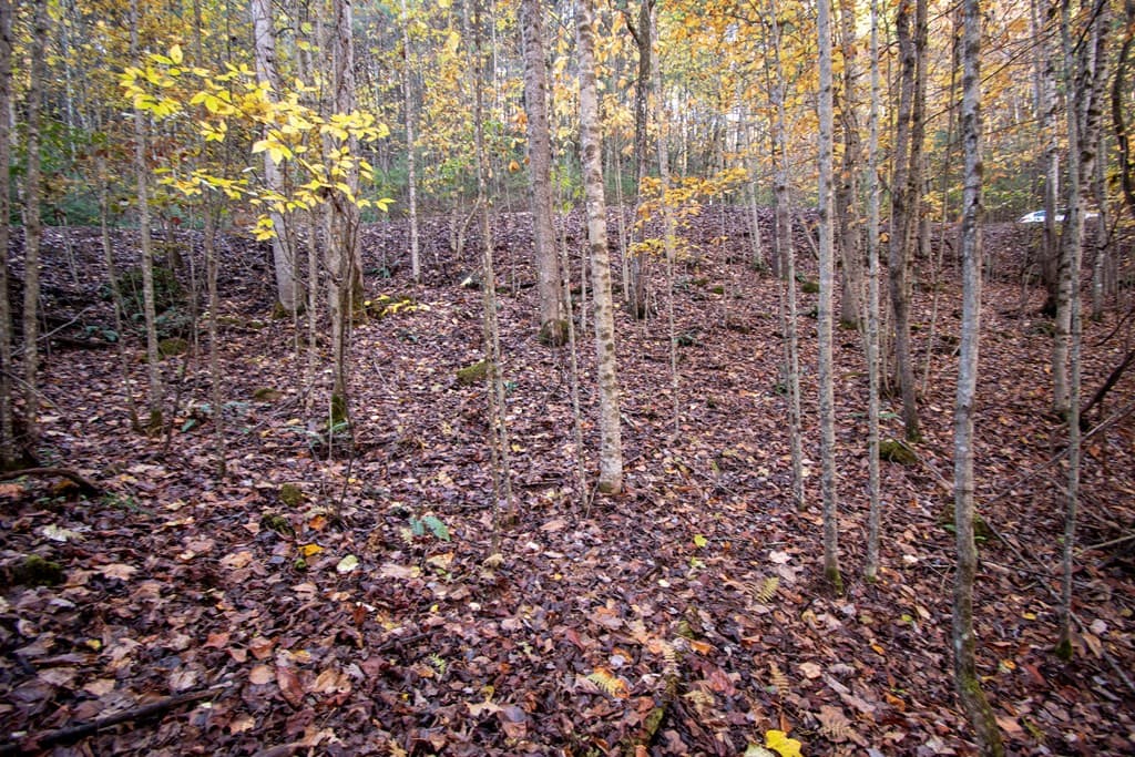 Lot 66 Choctaw Ridge Trail, Murphy NC 28906 - Photo