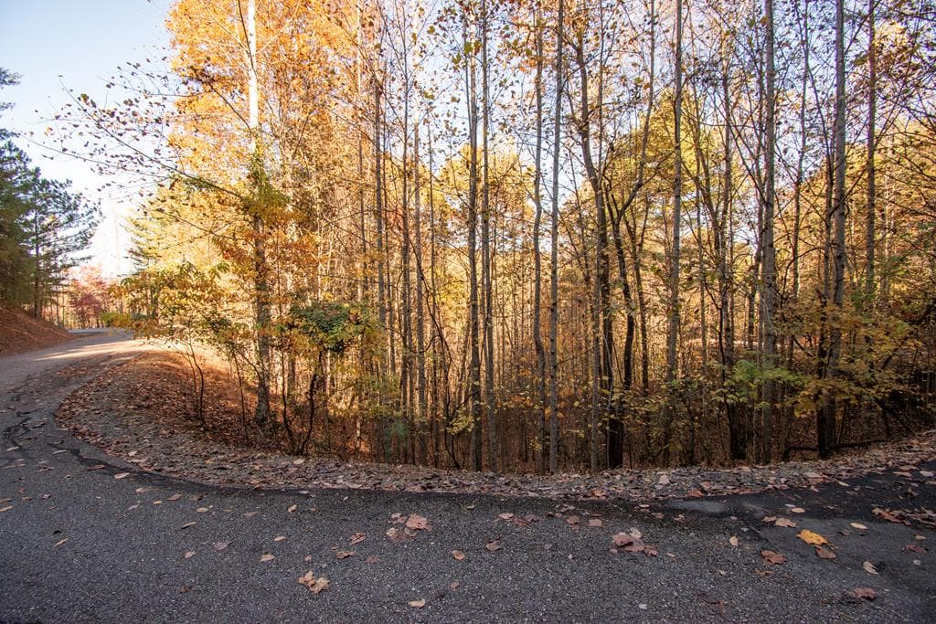 Lot 66 Choctaw Ridge Trail, Murphy NC 28906 - Primary photo