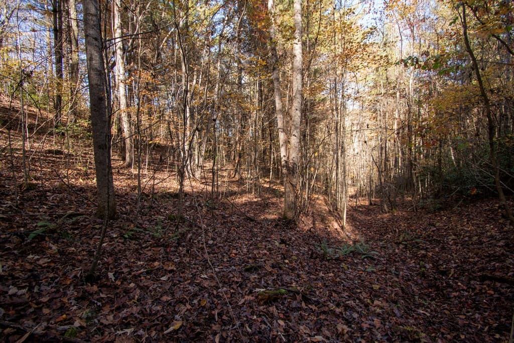 Lot 66 Choctaw Ridge Trail, Murphy NC 28906 - Photo