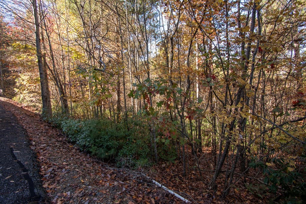 Lot 66 Choctaw Ridge Trail, Murphy NC 28906 - Photo