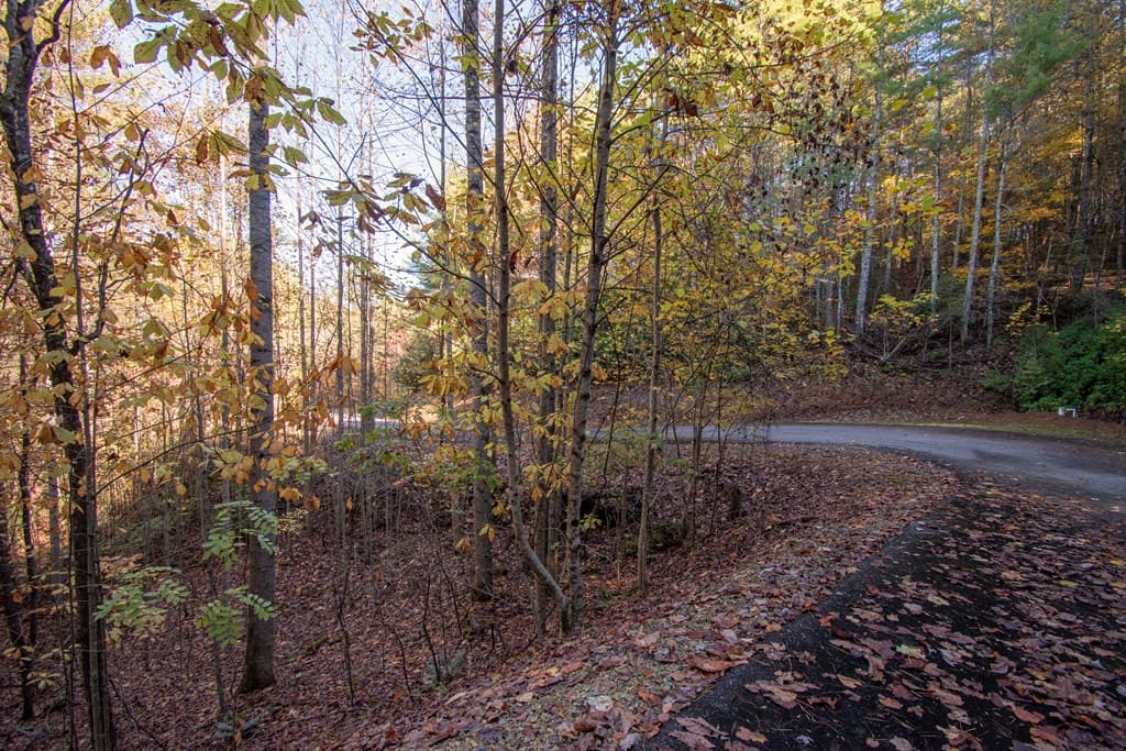 Lot 66 Choctaw Ridge Trail, Murphy NC 28906 - Photo