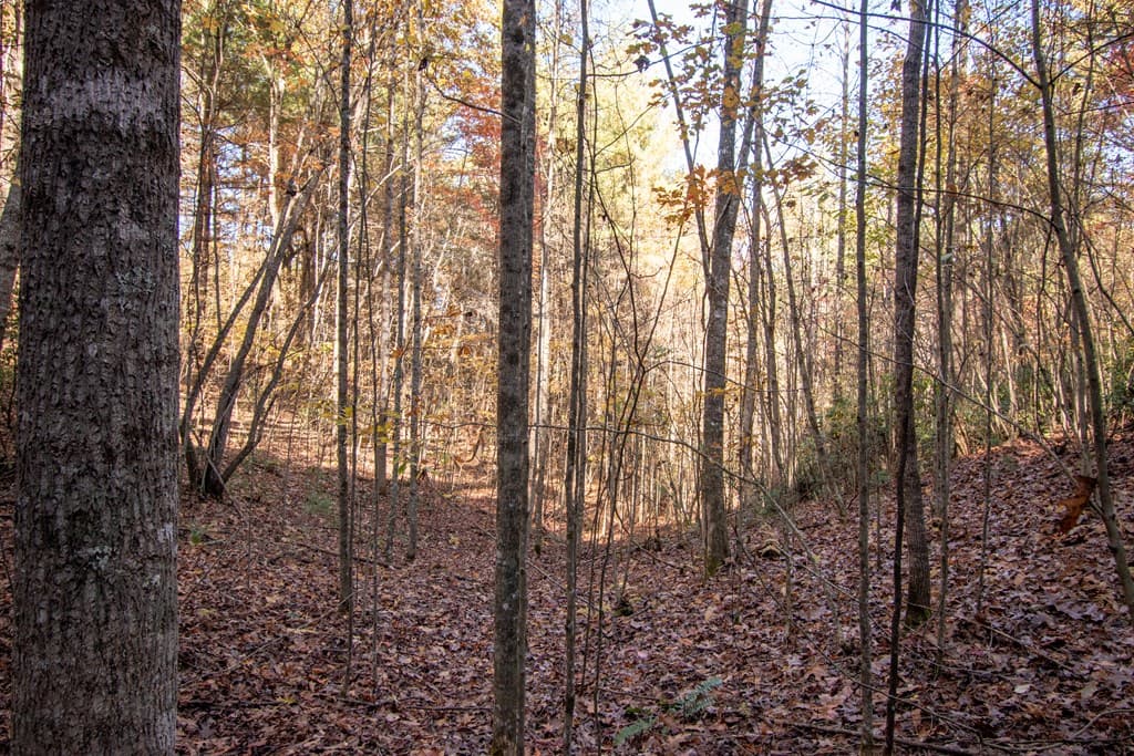 Lot 66 Choctaw Ridge Trail, Murphy NC 28906 - Photo
