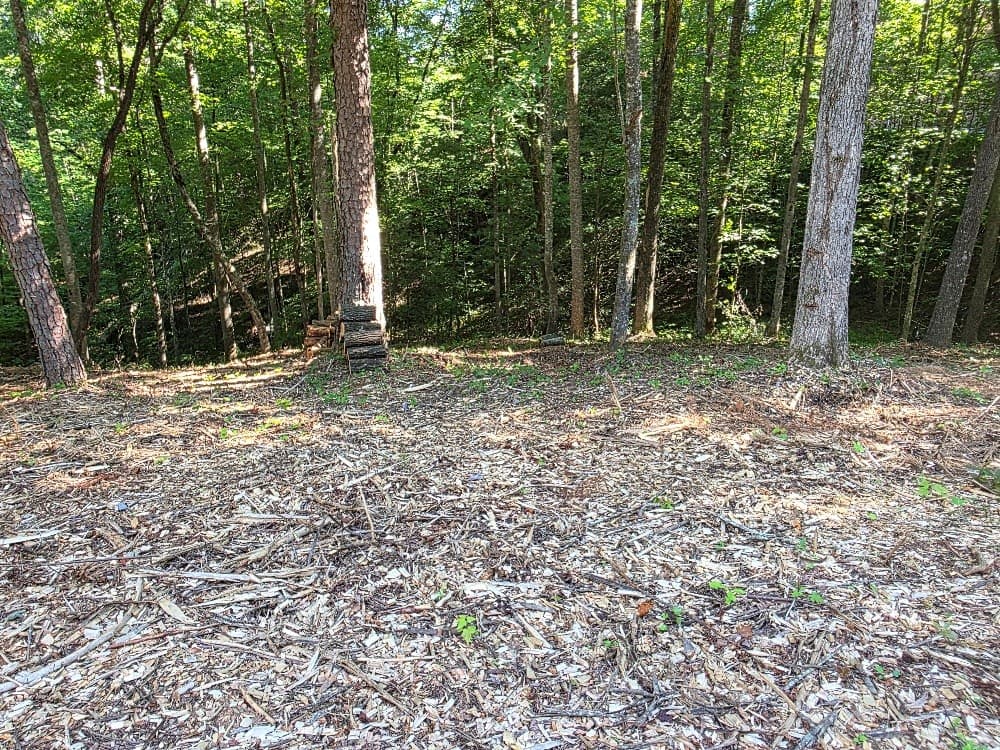 86 Cedar Road, Ellijay GA 30540 - Photo