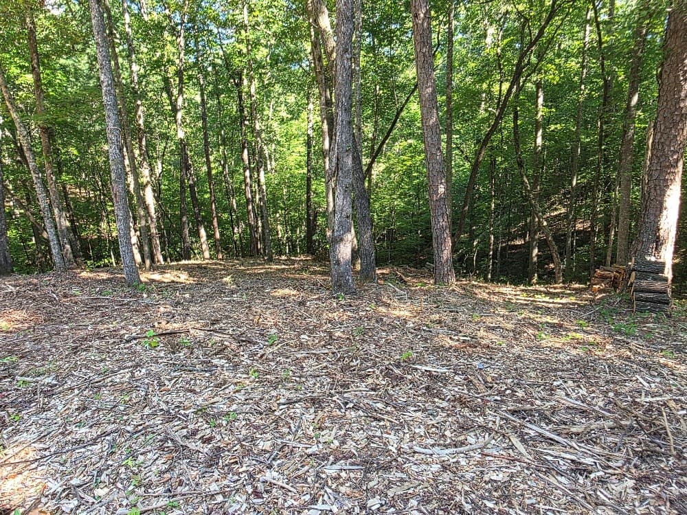86 Cedar Road, Ellijay GA 30540 - Photo