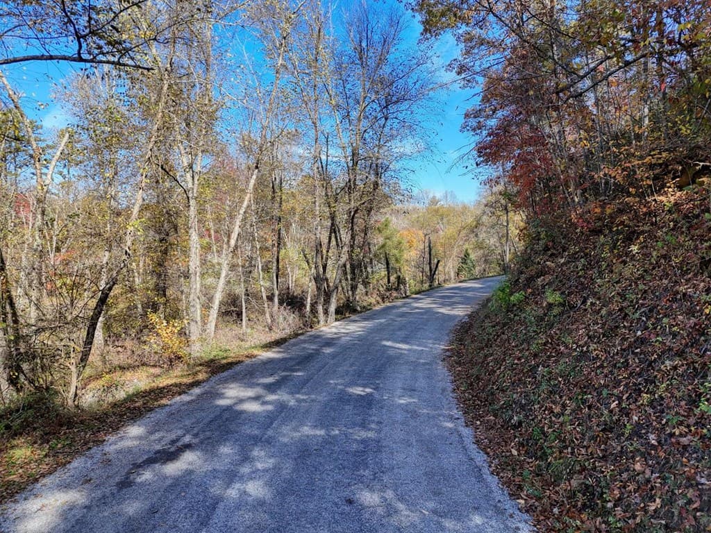 2.24 AC Lower Star Creek Road, Morganton GA 30560 - Photo