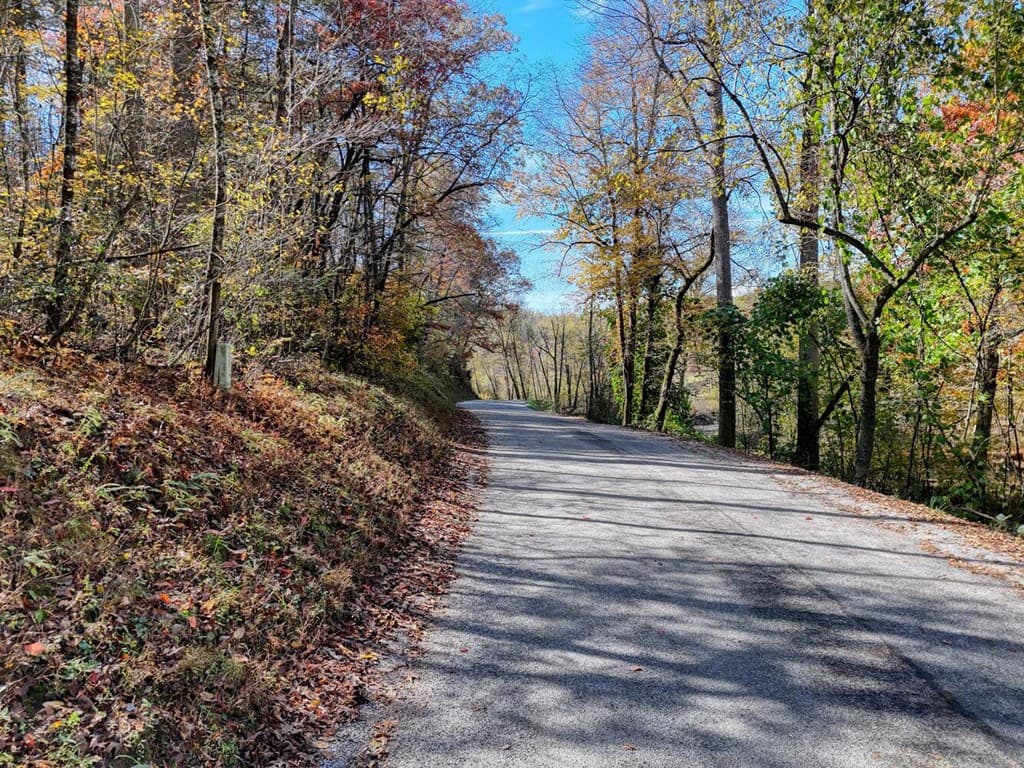 2.24 AC Lower Star Creek Road, Morganton GA 30560 - Photo