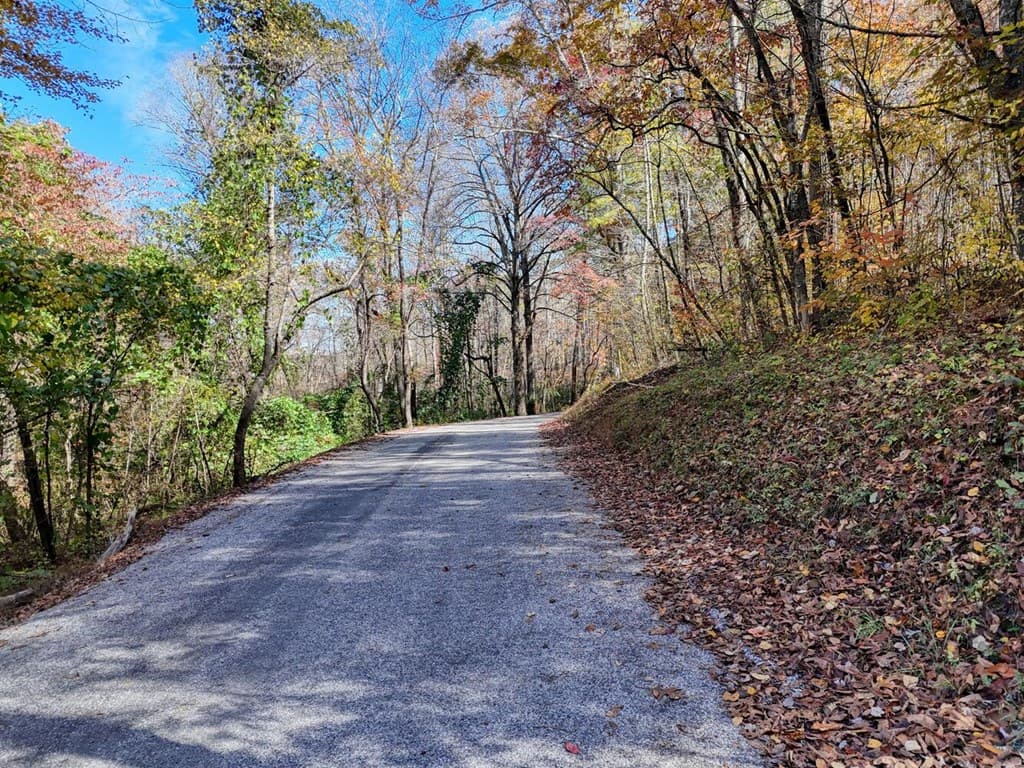 2.24 AC Lower Star Creek Road, Morganton GA 30560 - Photo