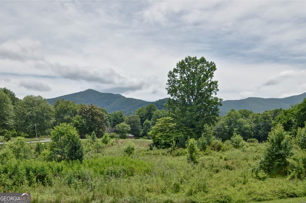 2165 Townsend Mill Road, Young Harris GA 30582 - Photo