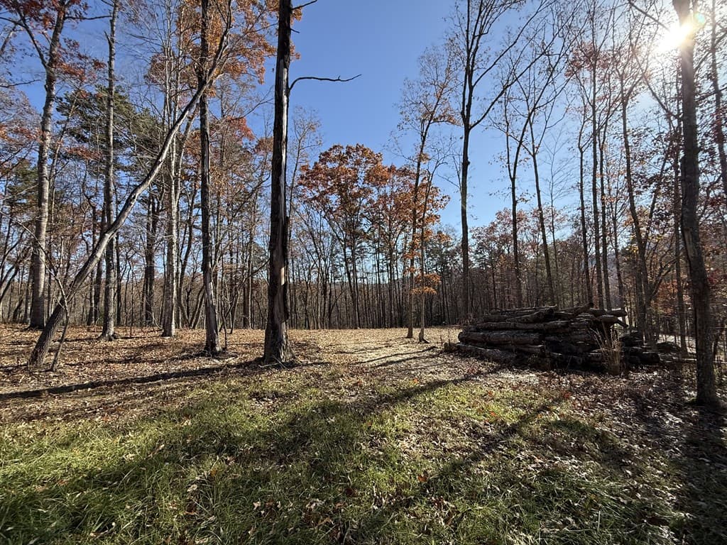 Lot 24 Crestview Point, Mineral Bluff GA 30559 - Photo