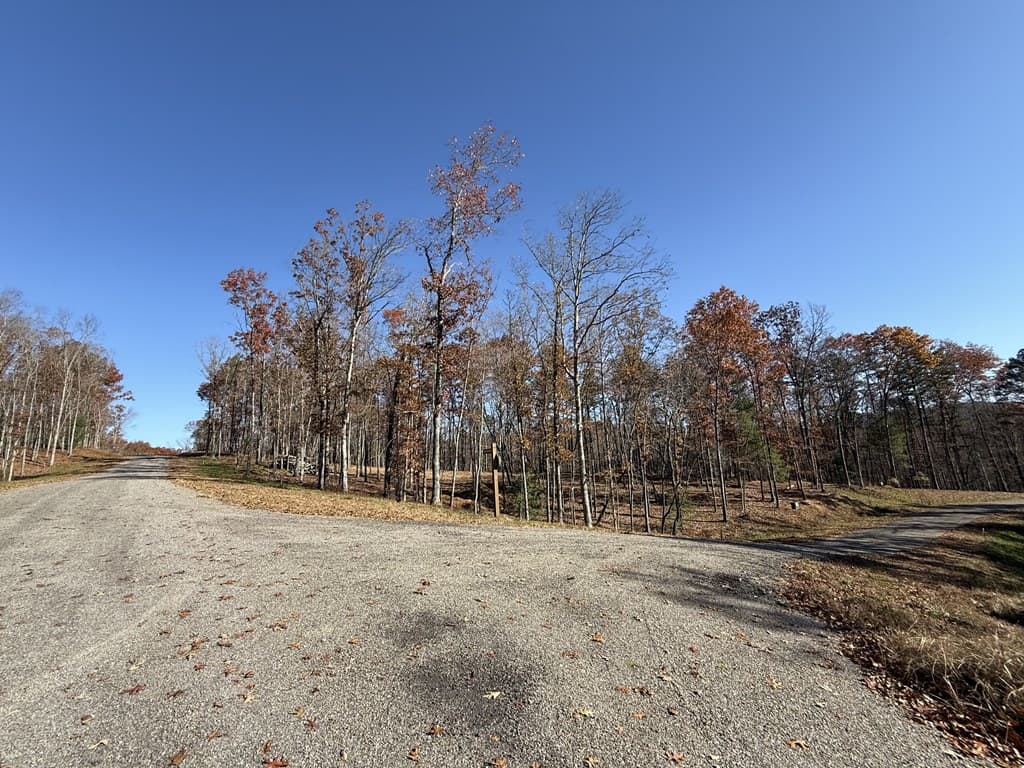 Lot 24 Crestview Point, Mineral Bluff GA 30559 - Photo
