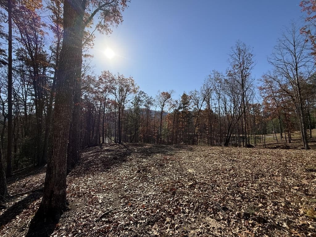 Lot 24 Crestview Point, Mineral Bluff GA 30559 - Primary photo