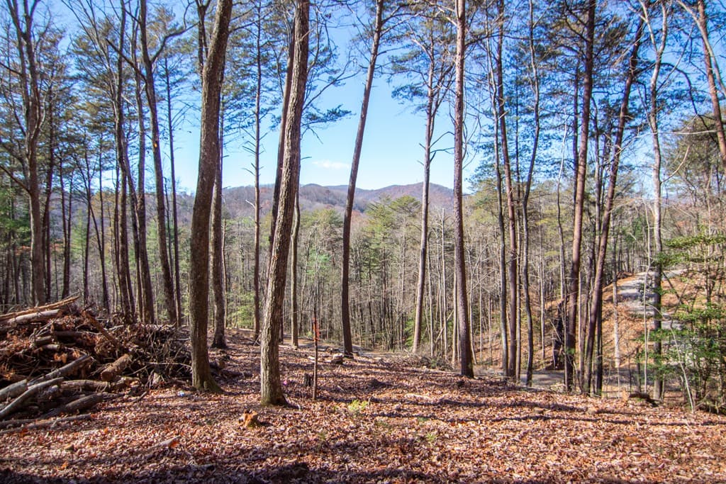 150 Clay's Way, Blue Ridge GA 30513 - Photo