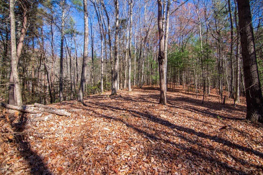 150 Clay's Way, Blue Ridge GA 30513 - Photo