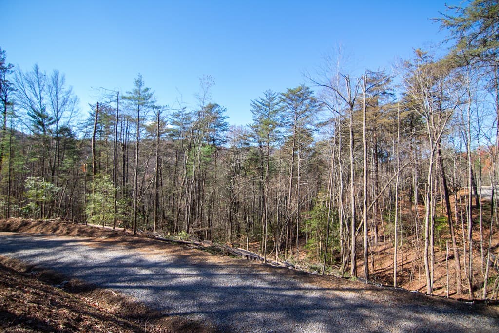 150 Clay's Way, Blue Ridge GA 30513 - Photo