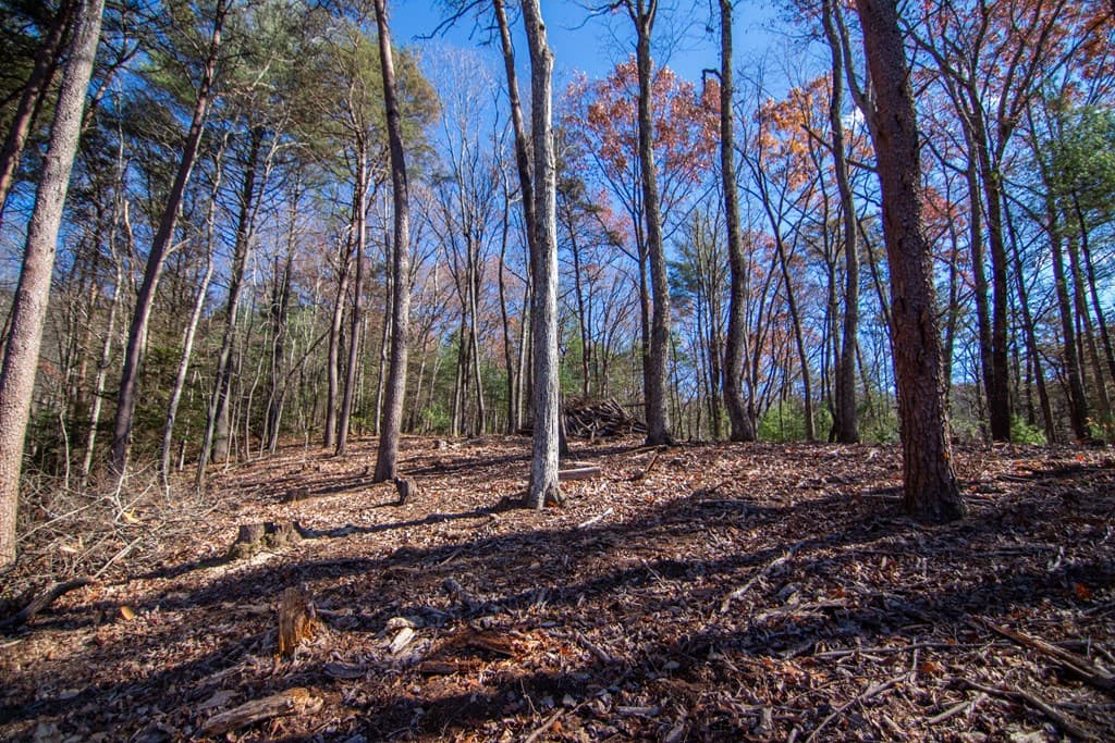 150 Clay's Way, Blue Ridge GA 30513 - Photo