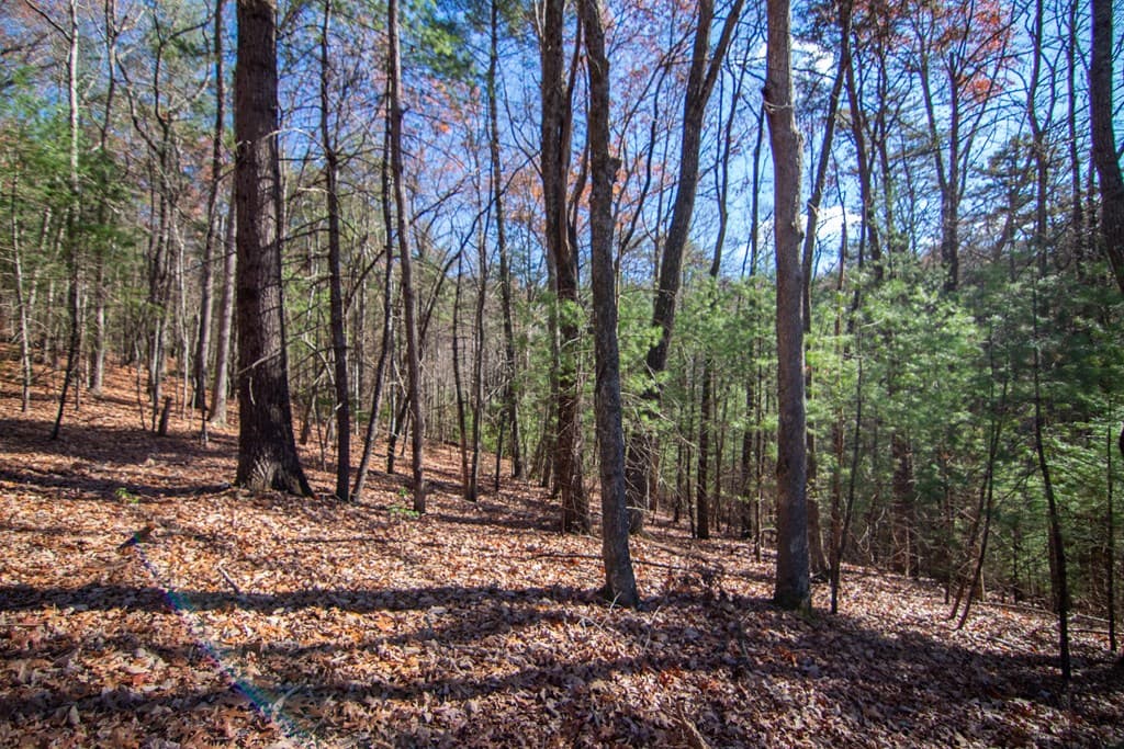 150 Clay's Way, Blue Ridge GA 30513 - Photo