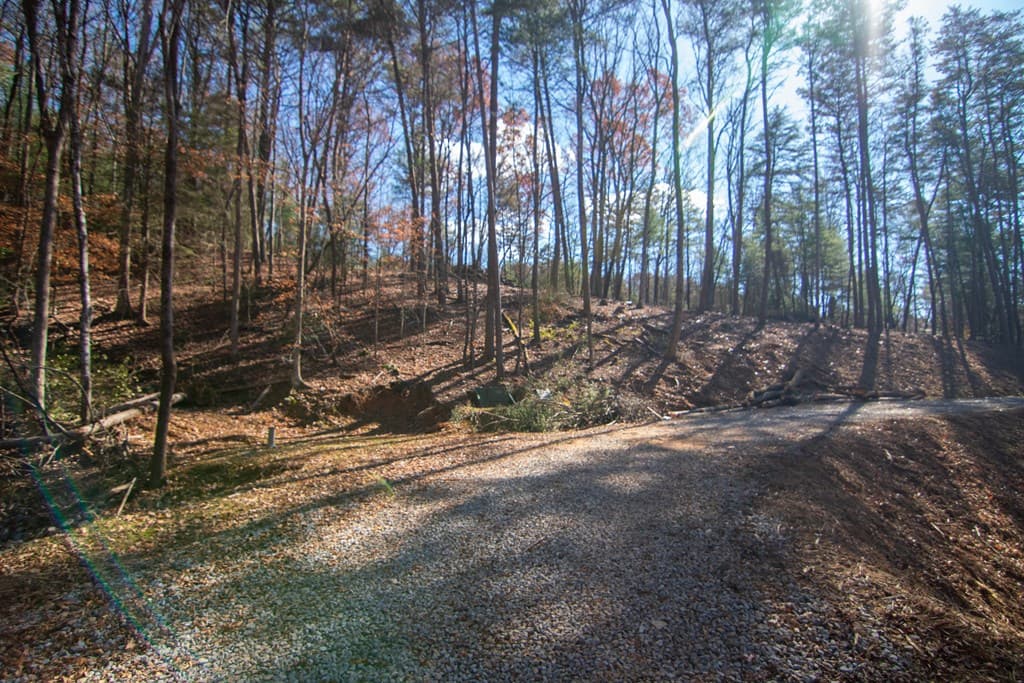 150 Clay's Way, Blue Ridge GA 30513 - Photo