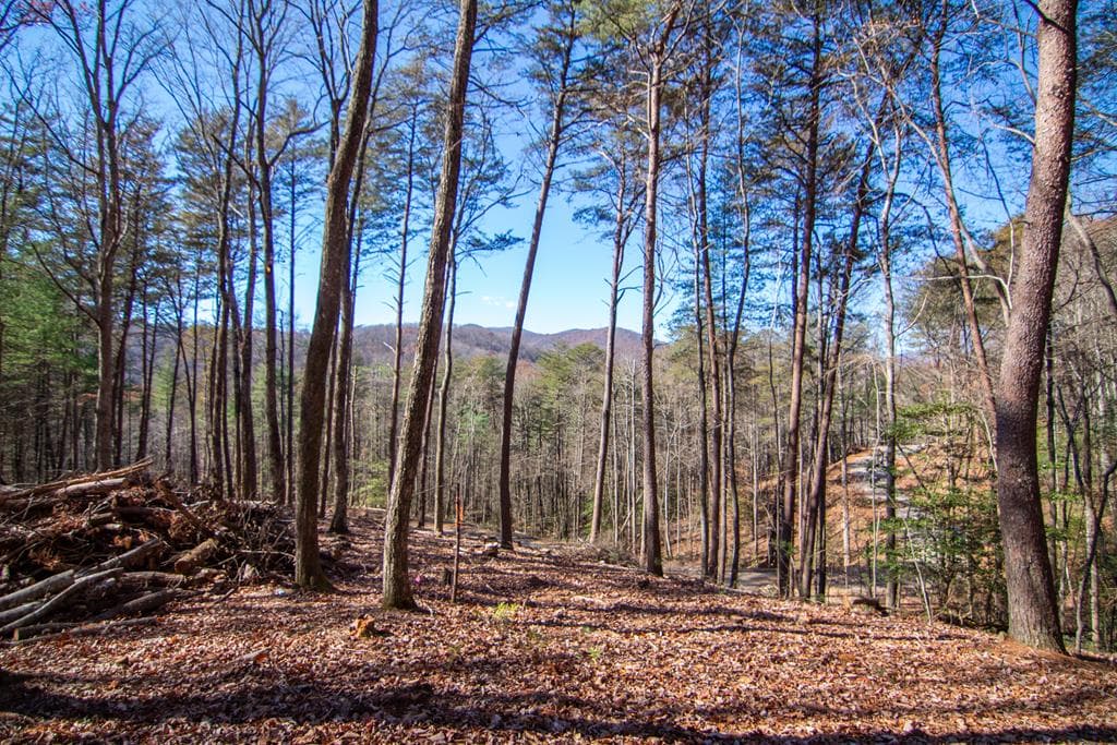 150 Clay's Way, Blue Ridge GA 30513 - Primary photo