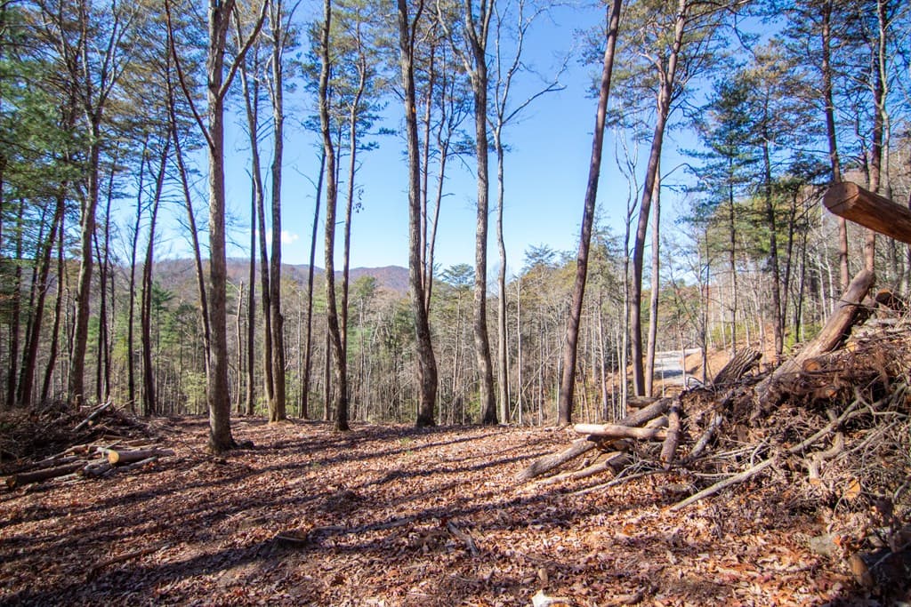 150 Clay's Way, Blue Ridge GA 30513 - Photo
