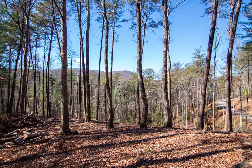 150 Clay's Way, Blue Ridge GA 30513 - Photo