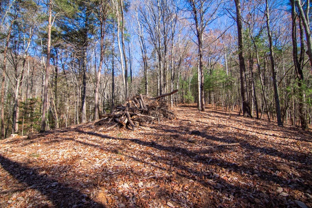 150 Clay's Way, Blue Ridge GA 30513 - Photo