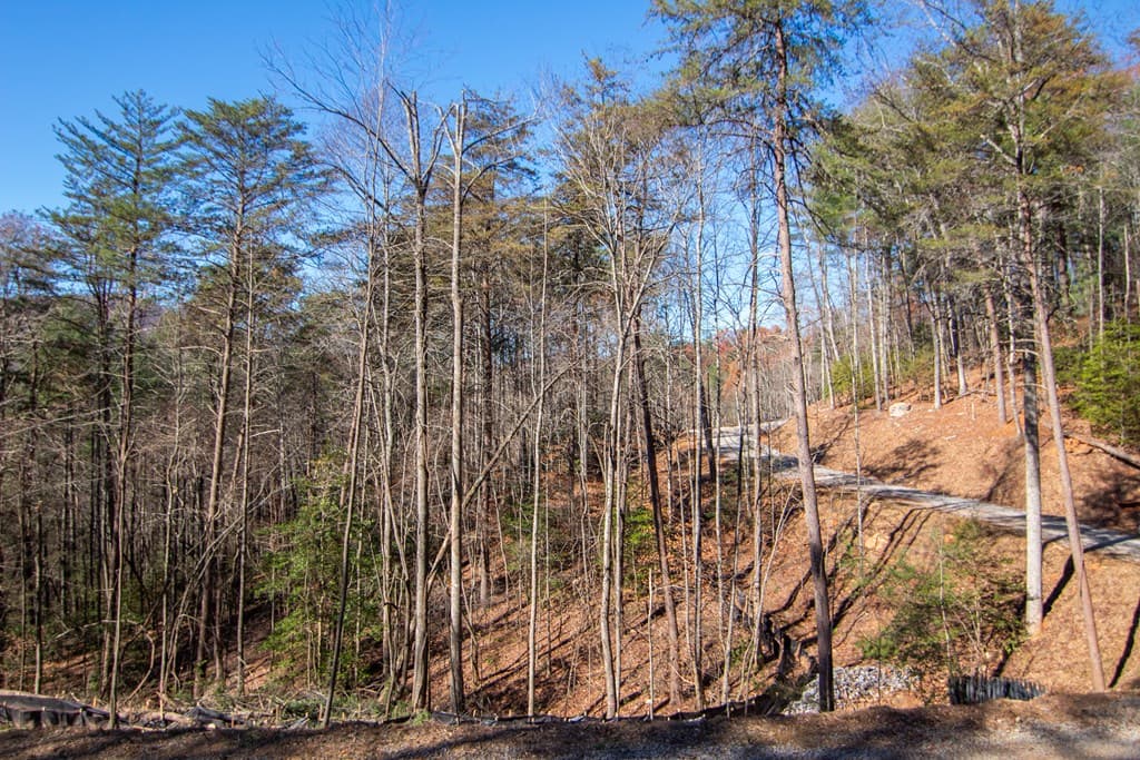 150 Clay's Way, Blue Ridge GA 30513 - Photo
