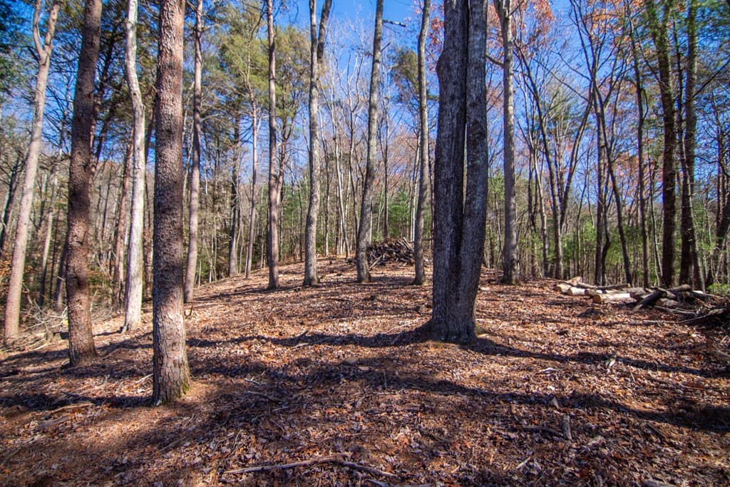 150 Clay's Way, Blue Ridge GA 30513 - Photo