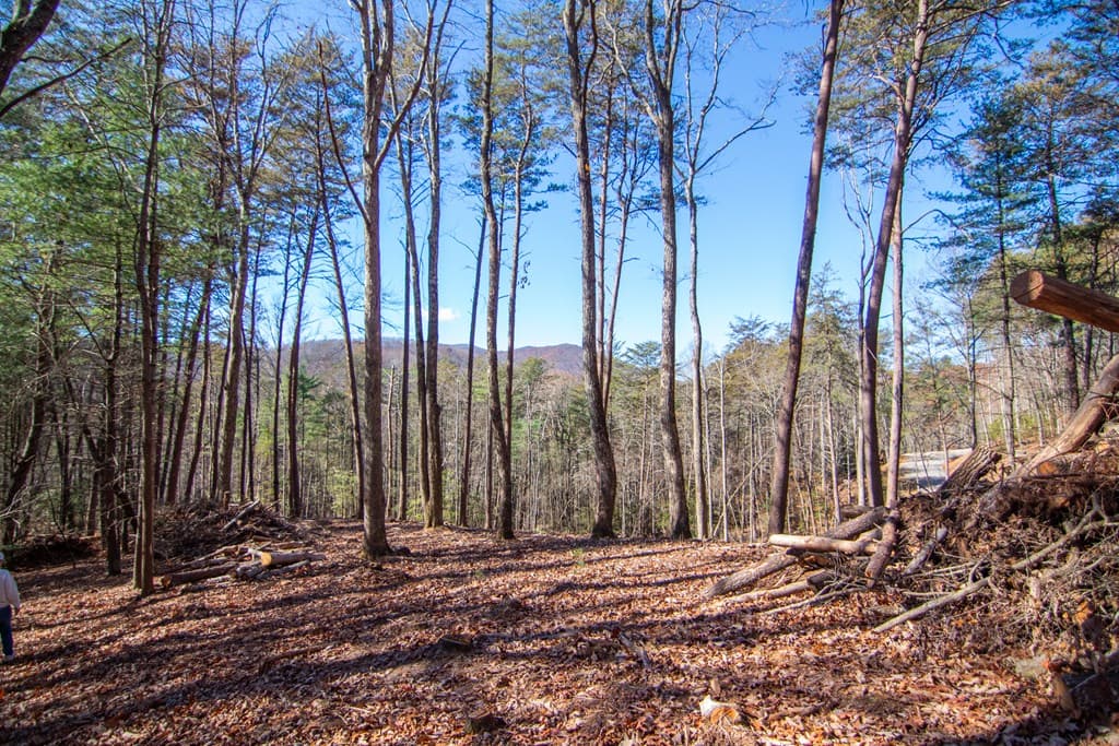 150 Clay's Way, Blue Ridge GA 30513 - Photo