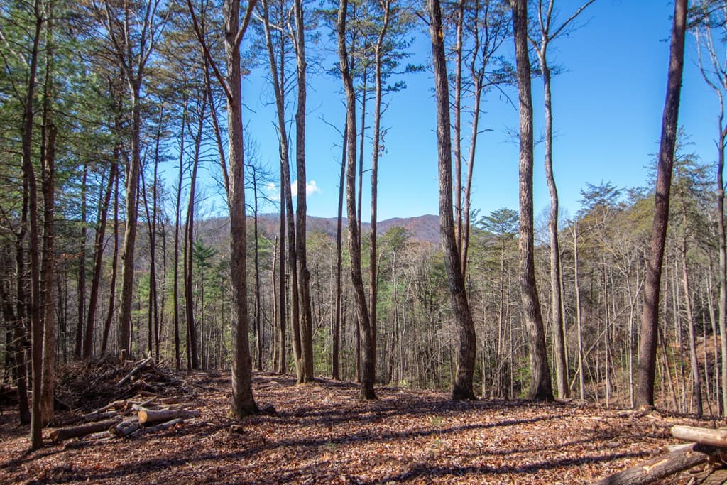 150 Clay's Way, Blue Ridge GA 30513 - Photo