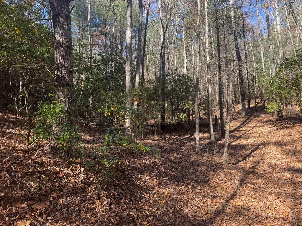 1982 Pinelog Church Road, Brasstown NC 28902 - Photo