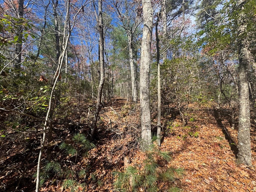 1982 Pinelog Church Road, Brasstown NC 28902 - Photo