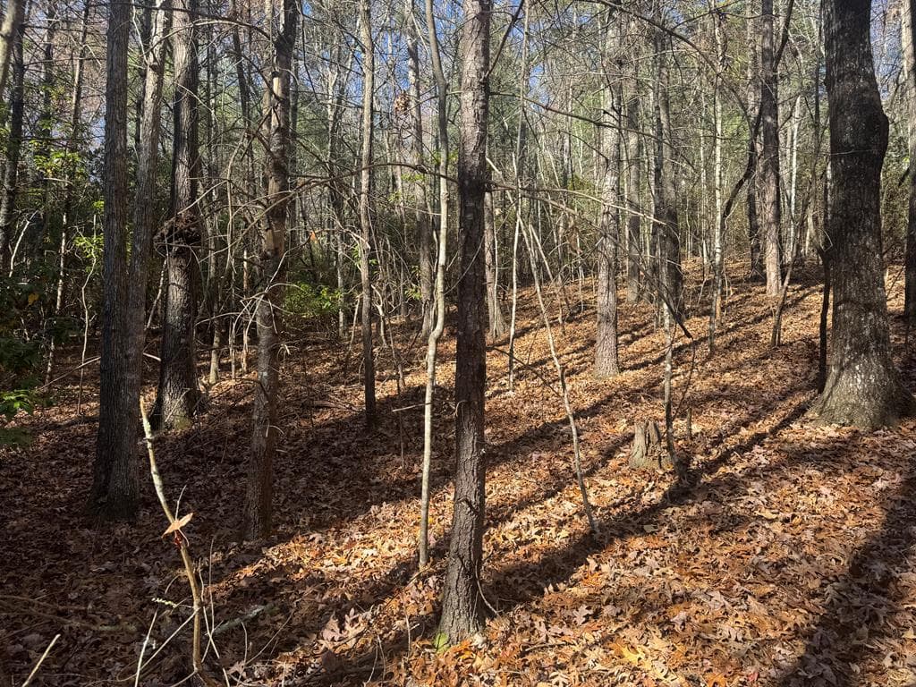 1982 Pinelog Church Road, Brasstown NC 28902 - Photo