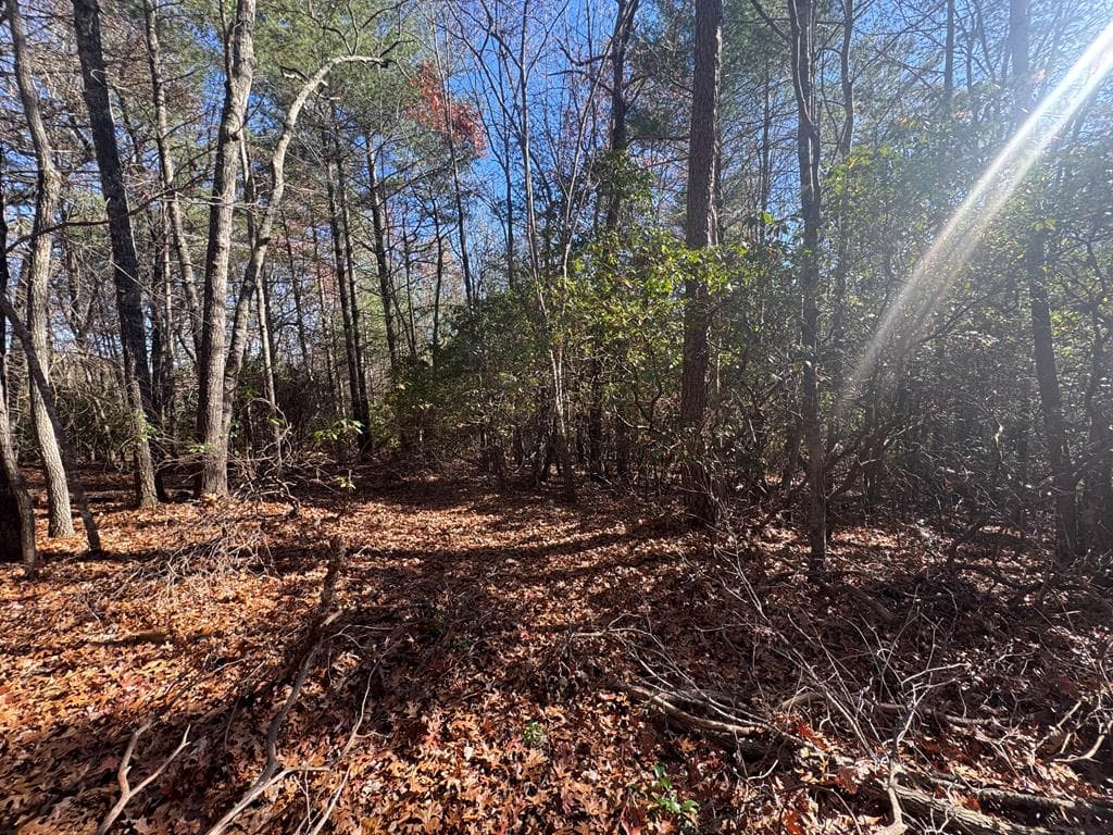 1982 Pinelog Church Road, Brasstown NC 28902 - Photo