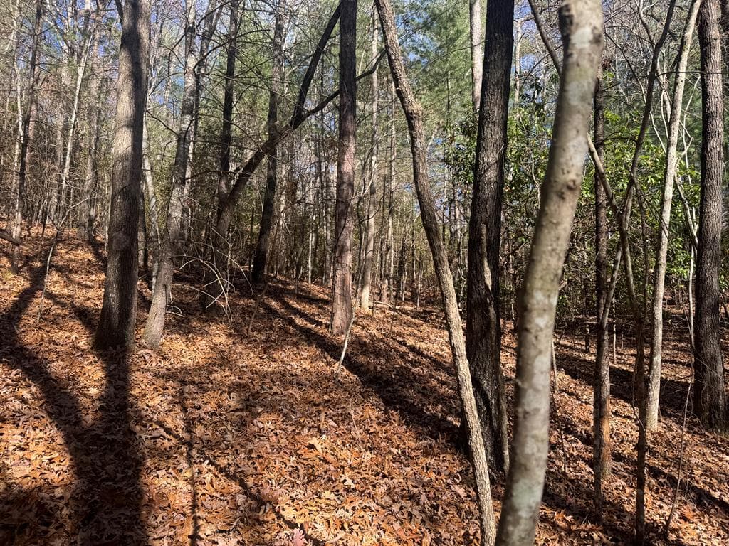 1982 Pinelog Church Road, Brasstown NC 28902 - Photo