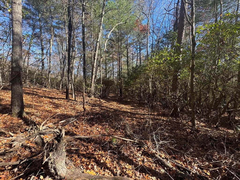 1982 Pinelog Church Road, Brasstown NC 28902 - Photo