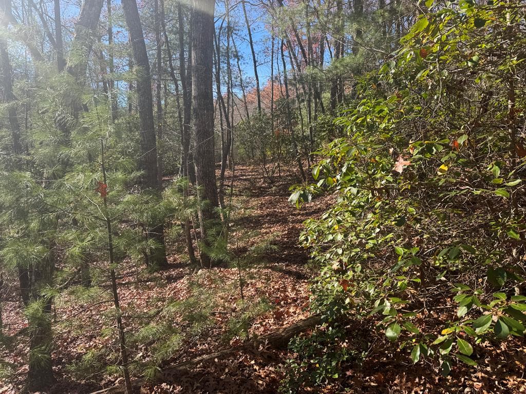 1982 Pinelog Church Road, Brasstown NC 28902 - Photo