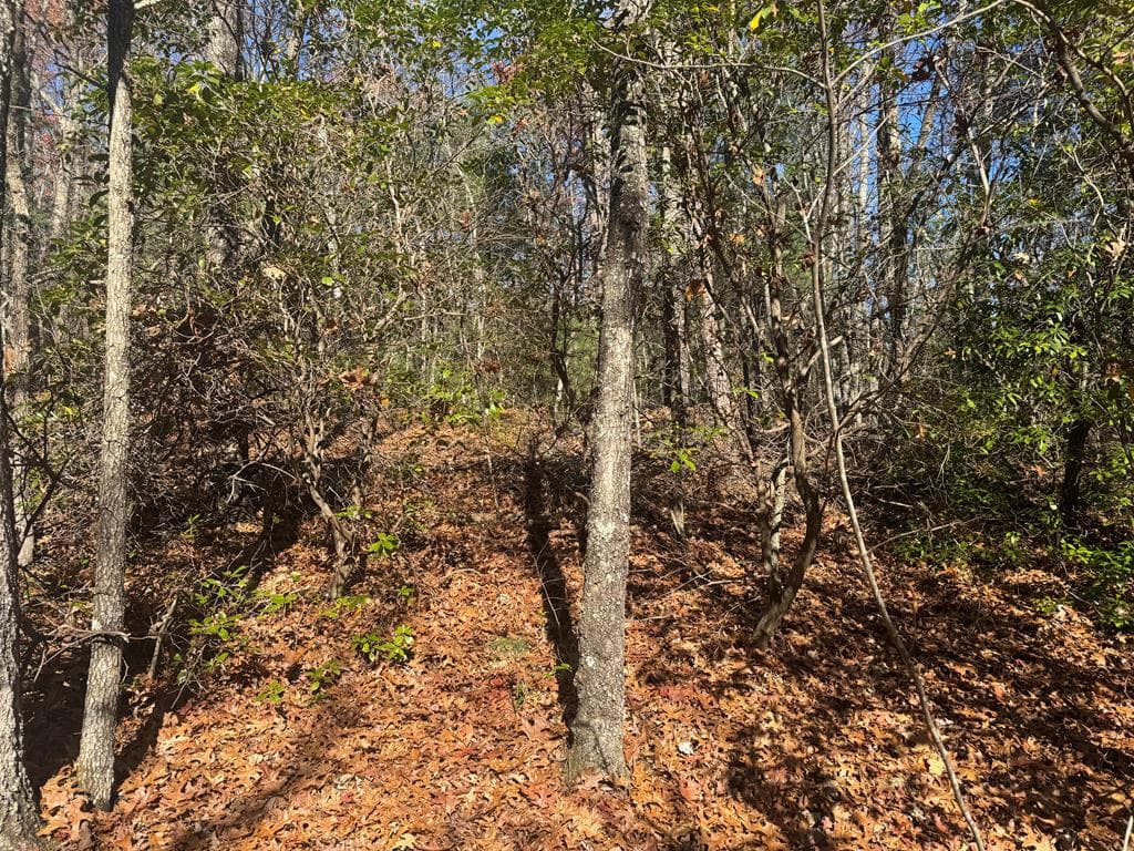 1982 Pinelog Church Road, Brasstown NC 28902 - Photo