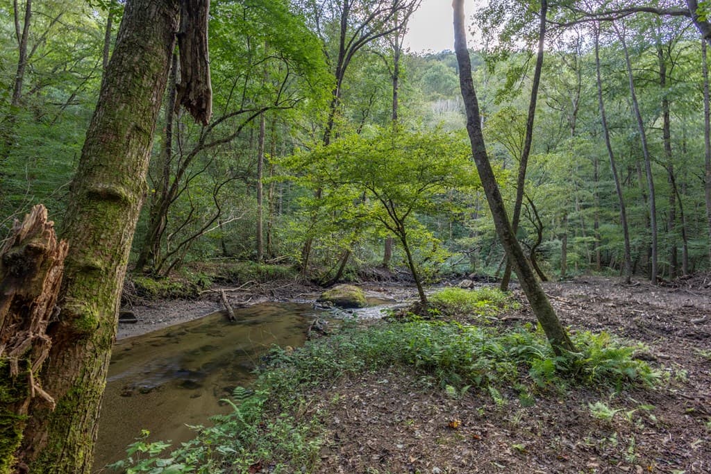 23.59 AC Chestnut Flats Road, Andrews NC 28901 - Photo