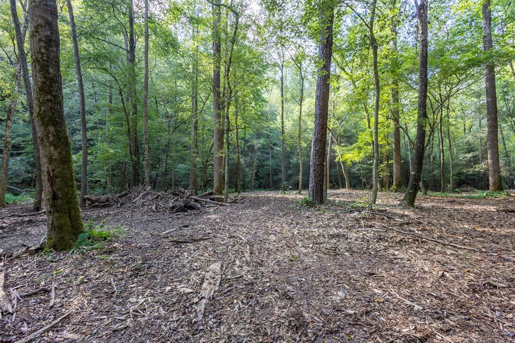 23.59 AC Chestnut Flats Road, Andrews NC 28901 - Photo