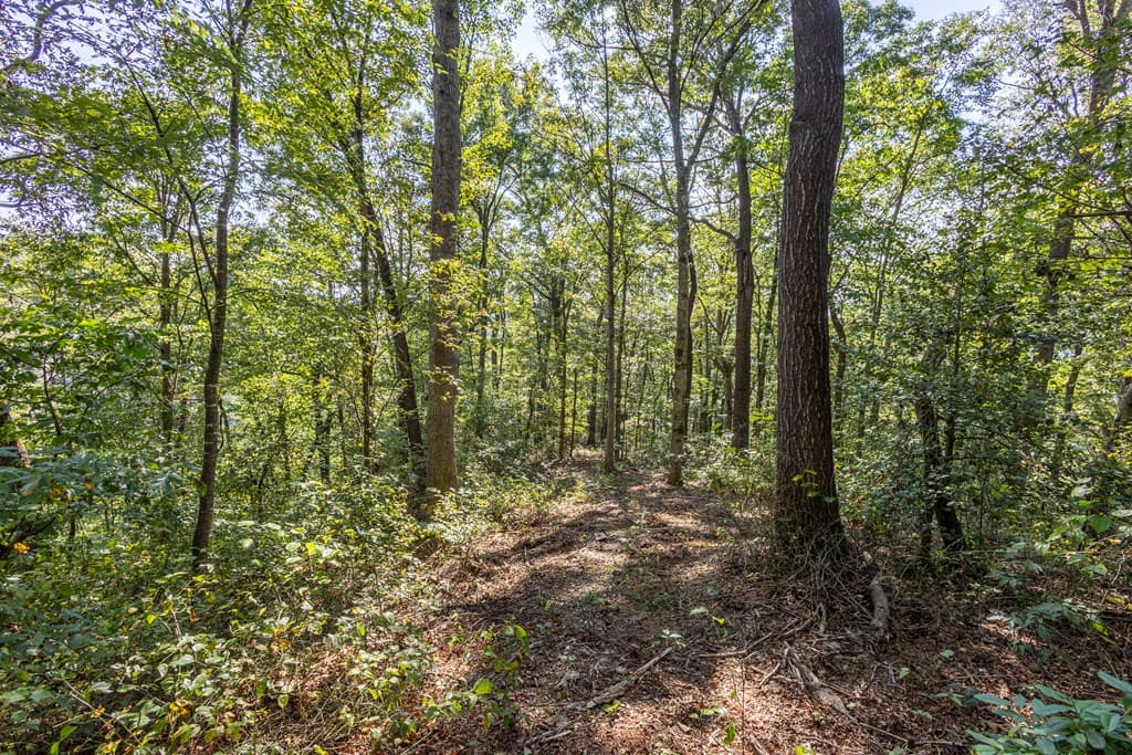 23.59 AC Chestnut Flats Road, Andrews NC 28901 - Photo