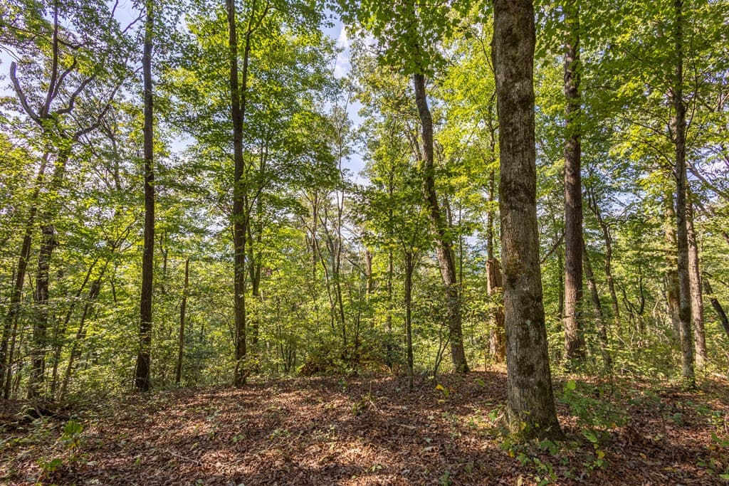 23.59 AC Chestnut Flats Road, Andrews NC 28901 - Photo