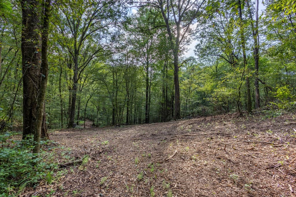 23.59 AC Chestnut Flats Road, Andrews NC 28901 - Photo