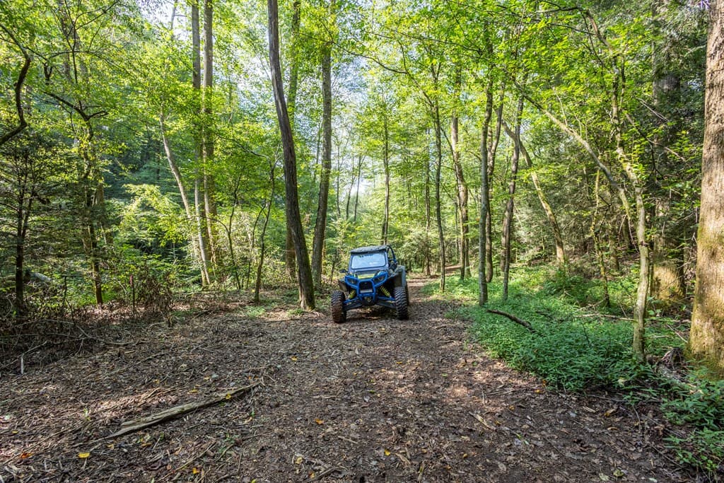 23.59 AC Chestnut Flats Road, Andrews NC 28901 - Photo