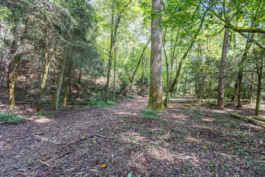 23.59 AC Chestnut Flats Road, Andrews NC 28901 - Photo