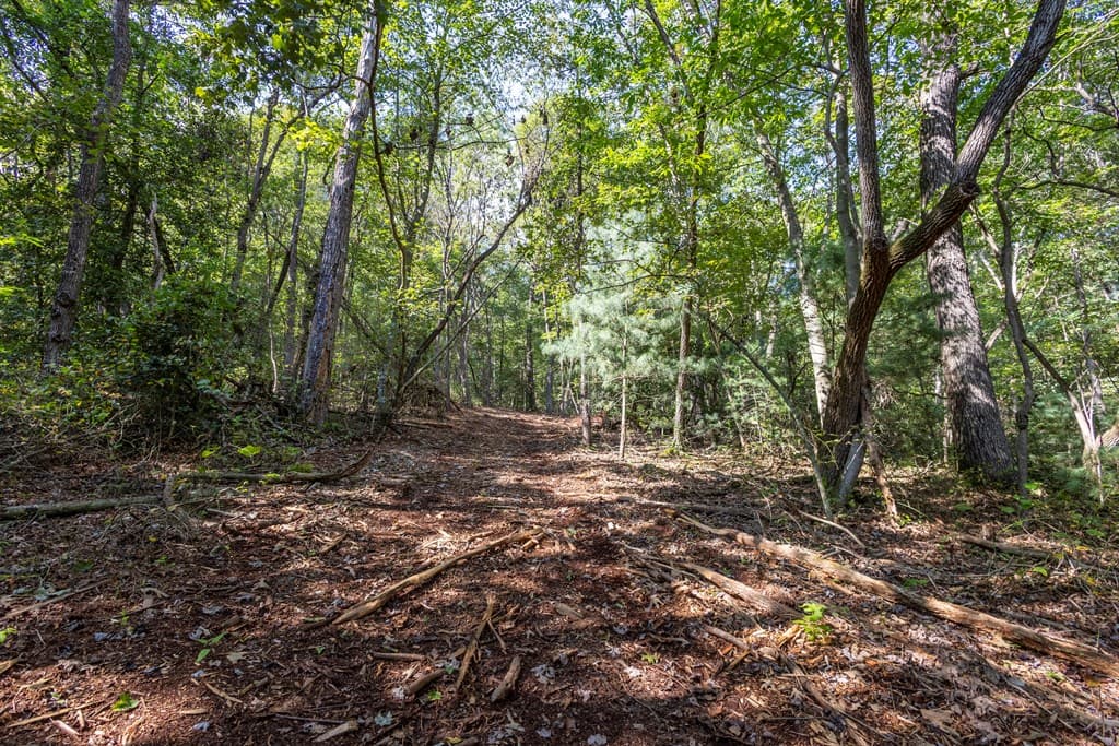 23.59 AC Chestnut Flats Road, Andrews NC 28901 - Photo