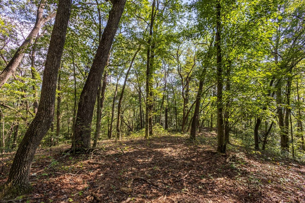 23.59 AC Chestnut Flats Road, Andrews NC 28901 - Photo